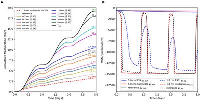 Root System Scale Models Significantly Overestimate Root Water Uptake at Drying Soil Conditions